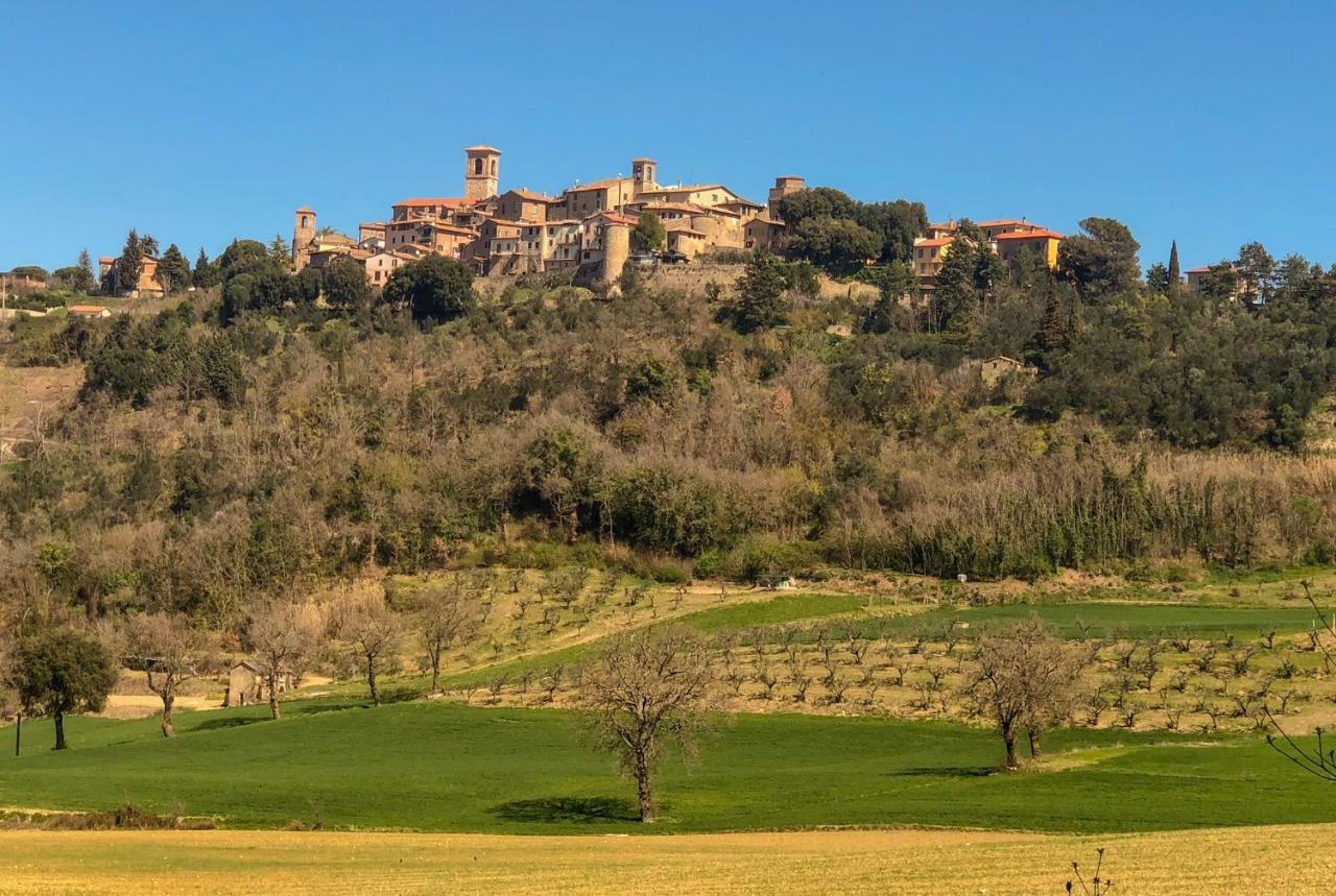 Апартаменты Umbria, "Casa Sagrantina" Con Piscina E Pergolato Collazzone Экстерьер фото